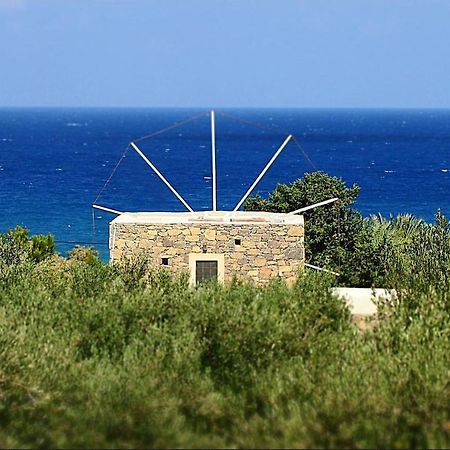 Вилла Authentic Cretan Stone Windmill Сития Экстерьер фото